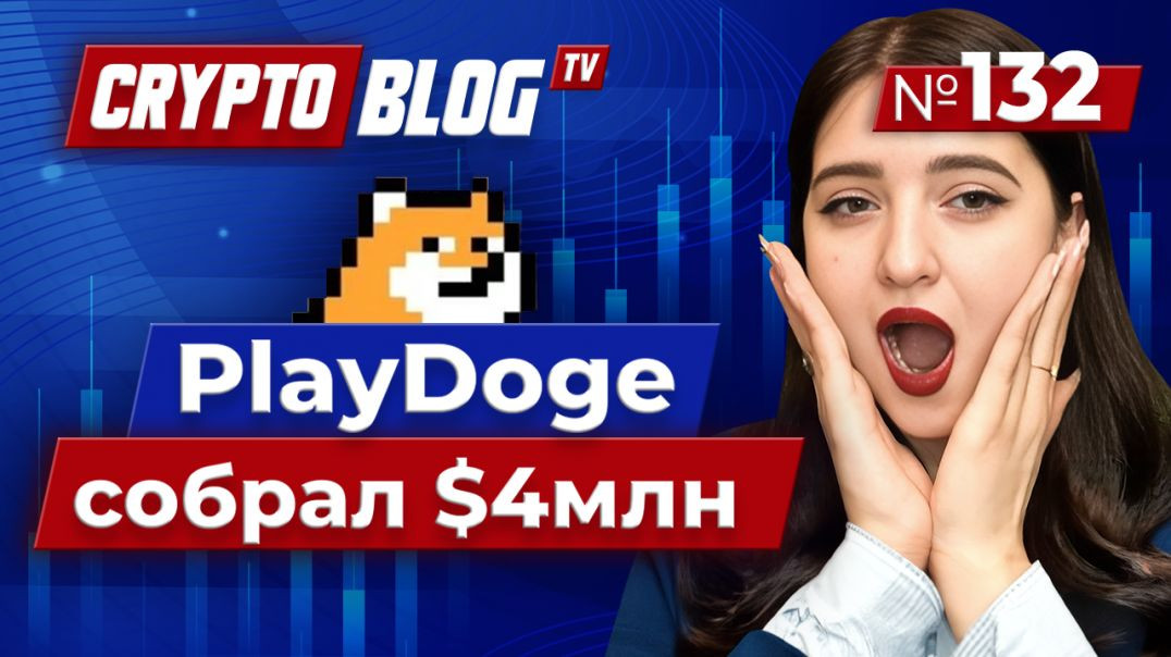 PlayDoge собрал $4 млн за 2 недели пресейла