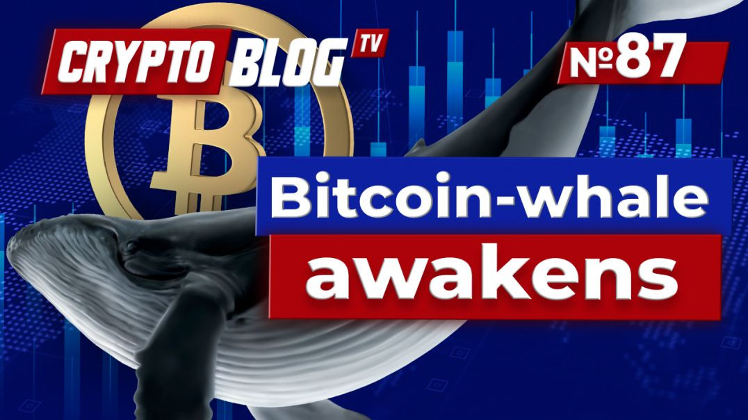 ⁣Bitcoin Whale Awakens After 14 Years — What’s Next?